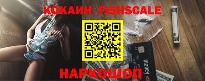 крисы Кулебаки