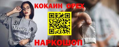 крисы Кулебаки