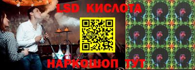 крисы Кулебаки