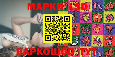 крисы Кулебаки