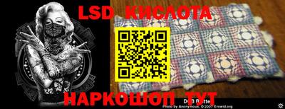 крисы Кулебаки
