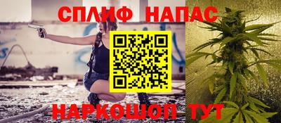 крисы Кулебаки