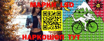 крисы Кулебаки