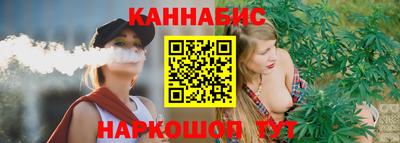 крисы Кулебаки