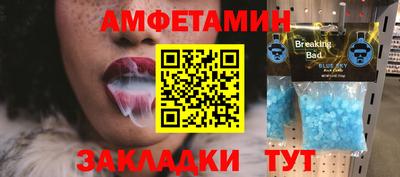 крисы Кулебаки
