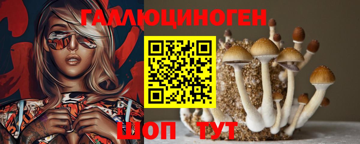 Галлюциногенные грибы прущие грибы  Галлюциногенные грибы MAGIC MUSHROOMS  Великий Новгород  купить  цена  Вход с VPN 