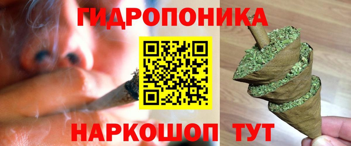 Марихуана гибрид  Бошки Шишки Bruce Banner  Великий Новгород  Вход с VPN  Бошки Шишки конопля 